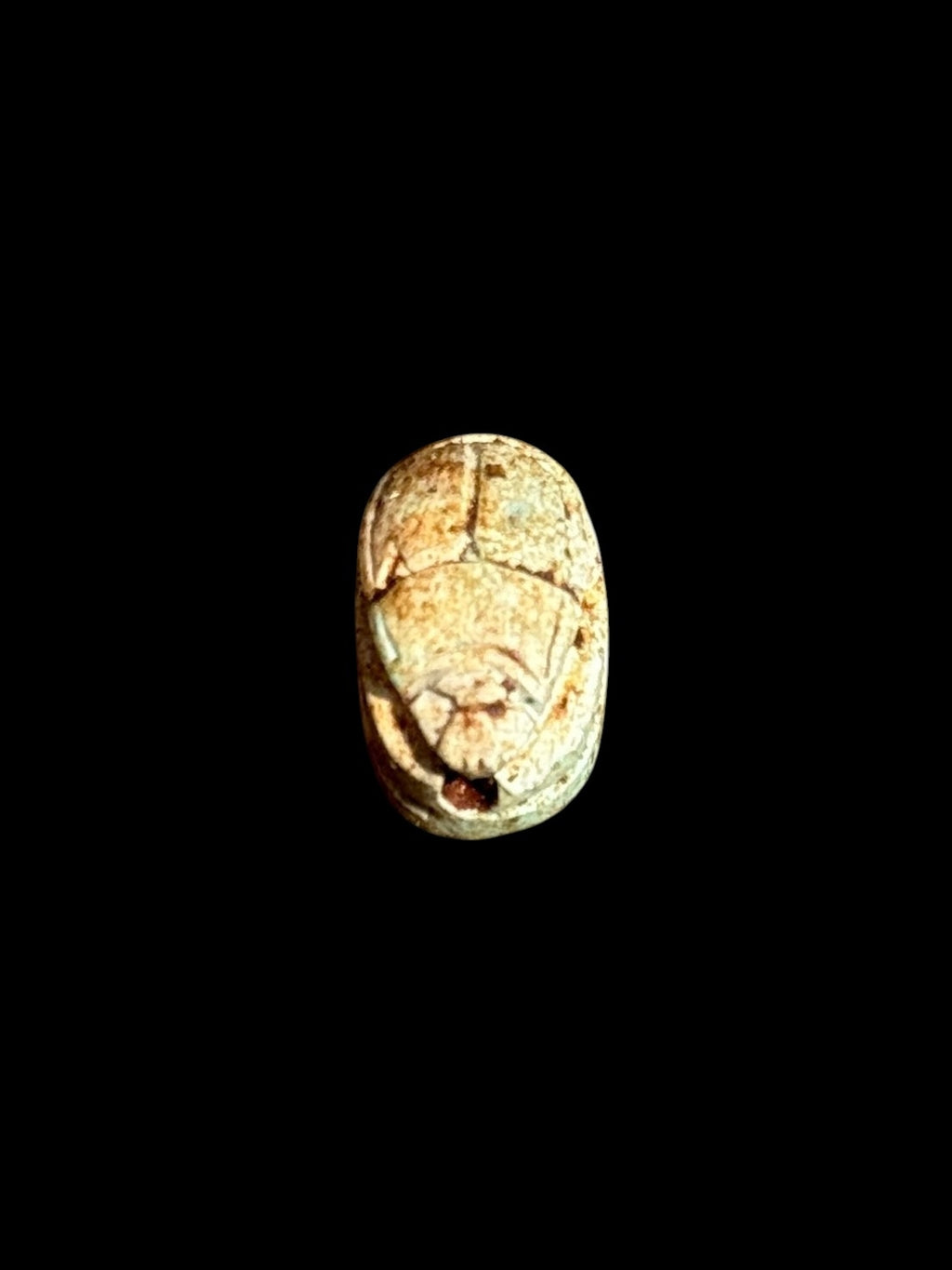 Top view of Egyptian scarab SC-052, showing cream and warm brown tones.