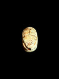 Top view of Egyptian scarab SC-052, showing cream and warm brown tones.