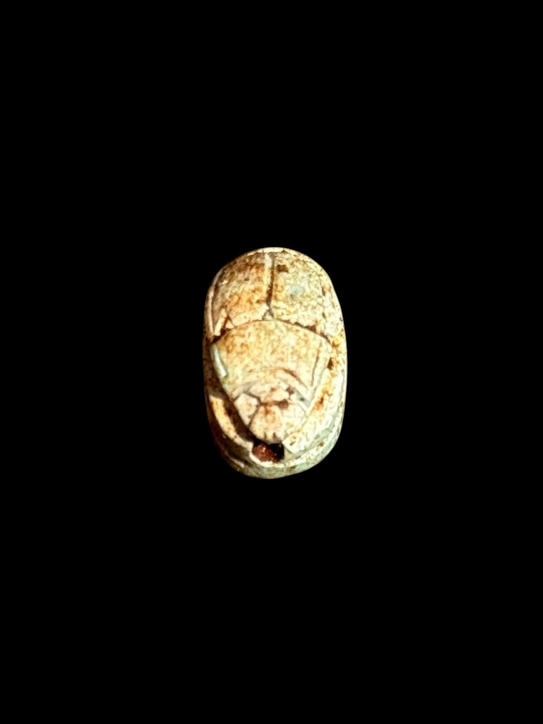 Top view of Egyptian scarab SC-052, showing cream and warm brown tones.