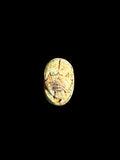 Top view of Egyptian scarab SC-068, showing mottled cream and green tones.