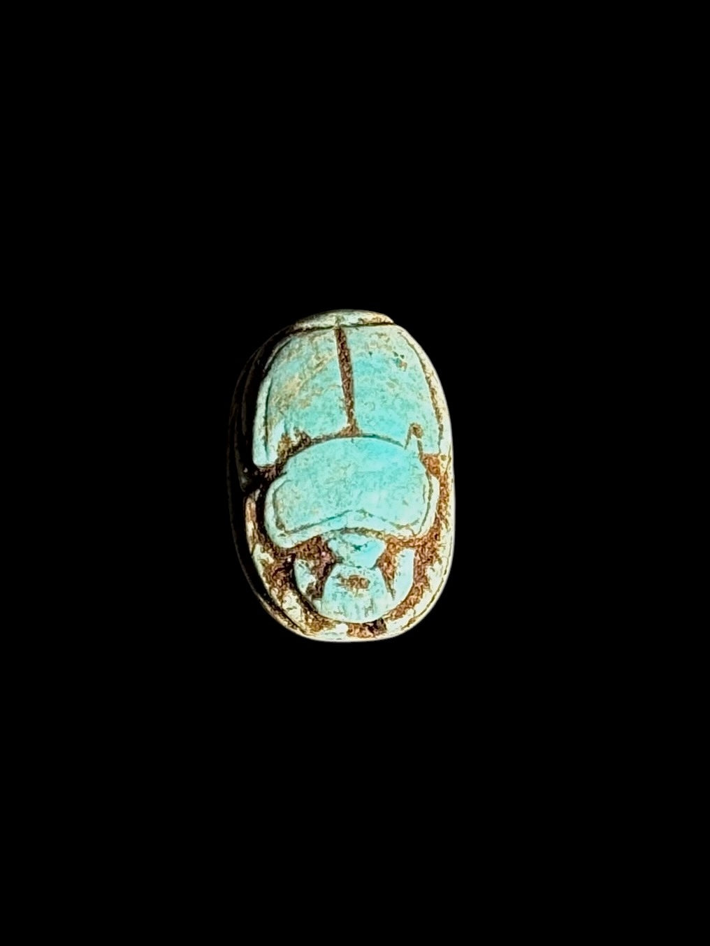 Upper view of an oval turquoise-coloured stone scarab with brown accents outlining the head and divided wing case against a black background.