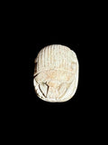 Top view of Egyptian scarab SC-115, showing pale cream tones with closely spaced lines across the wing covers.
