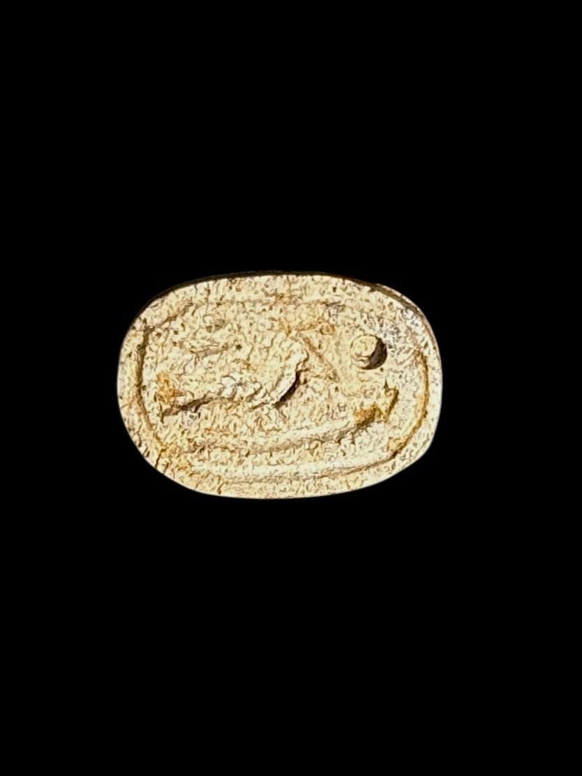Underside of the cream and brown stone scarab, showing recessed markings within an oval border against a black background.