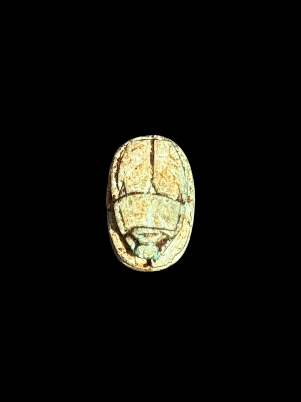 Top view of Egyptian scarab SC-058, showing pale cream and green tones.