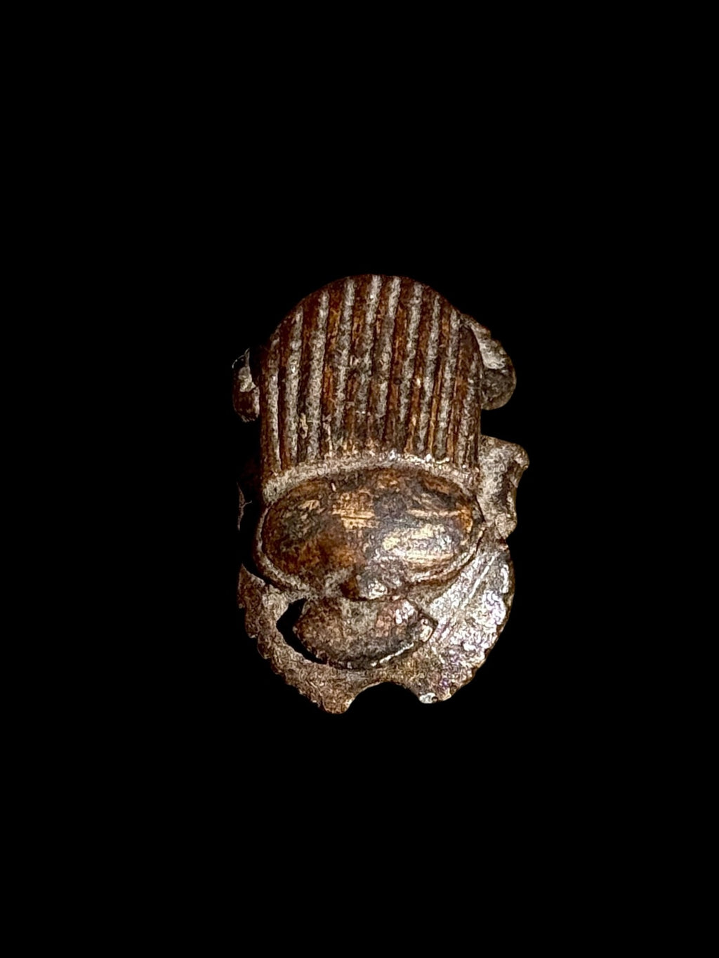 Top view of Egyptian scarab SC-117, showing deep brown tones with parallel lines across the wing covers and a shaped outline.