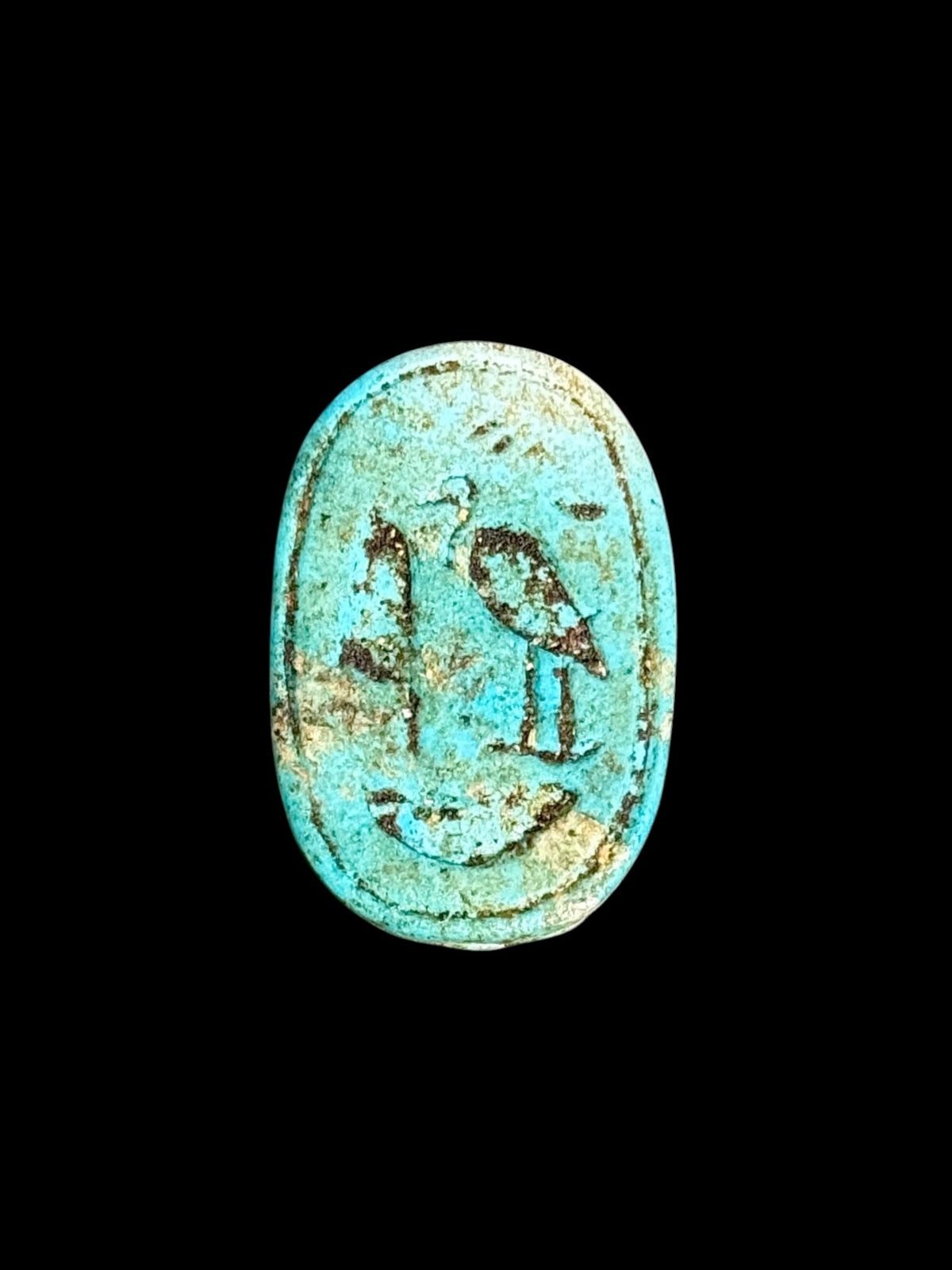 Underside of Egyptian scarab SC-114, showing turquoise underside with darker markings, including a bird-shaped motif.