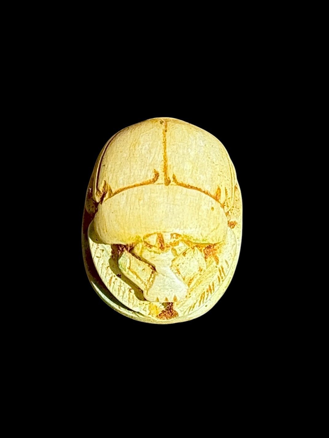 Top view of Egyptian scarab SC-101, showing cream and pale green tones with golden accents.