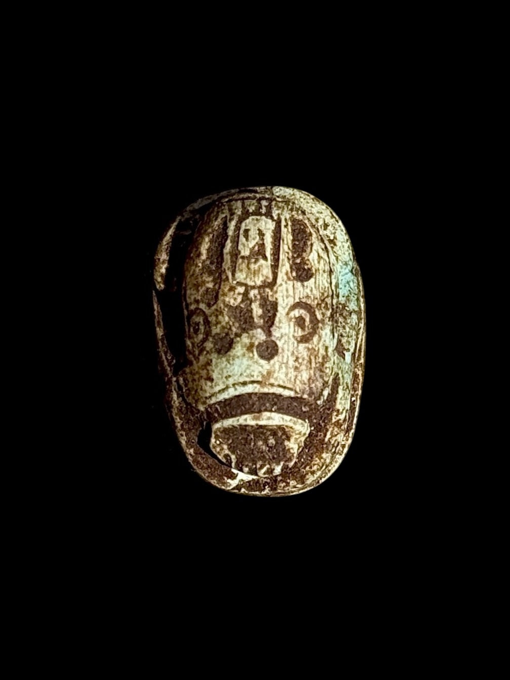 Top view of Egyptian scarab SC-111, showing dark brown and cream tones with small green patches and markings across the upper surface.