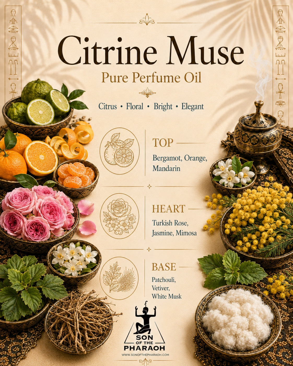 Citrine Muse Perfume Oil — fragrance notes infographic