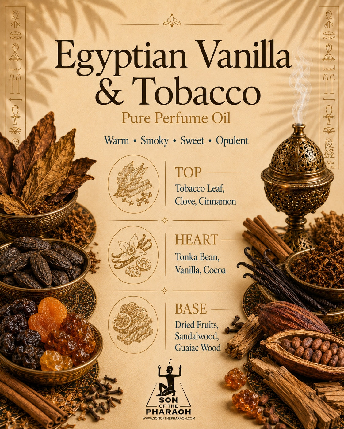 Egyptian Vanilla & Tobacco Perfume Oil — fragrance notes infographic