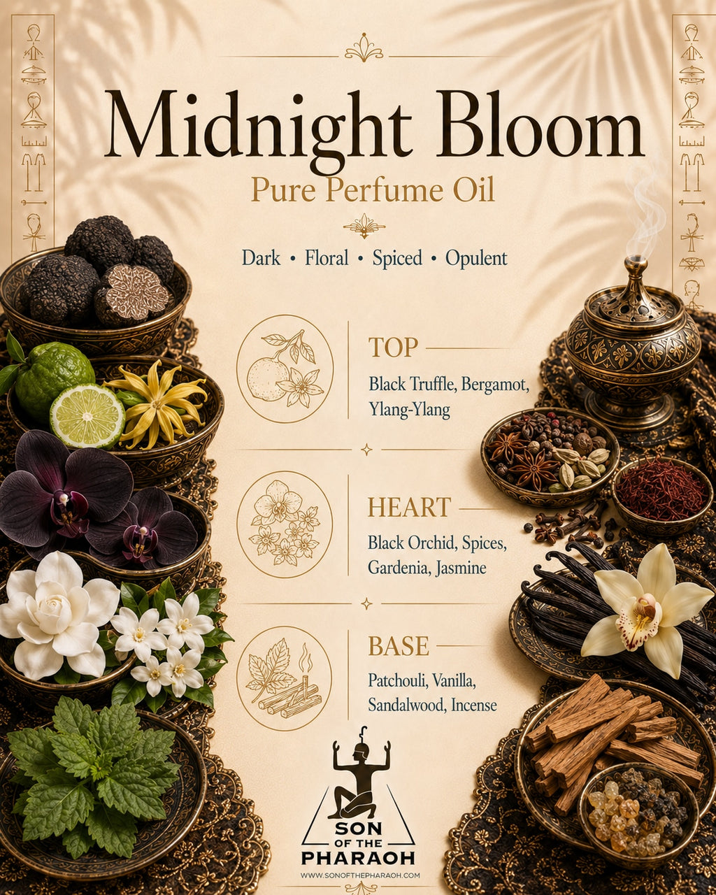 Midnight Bloom Perfume Oil — fragrance notes infographic