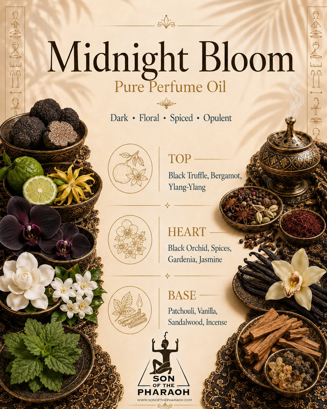 Midnight Bloom Perfume Oil — fragrance notes infographic