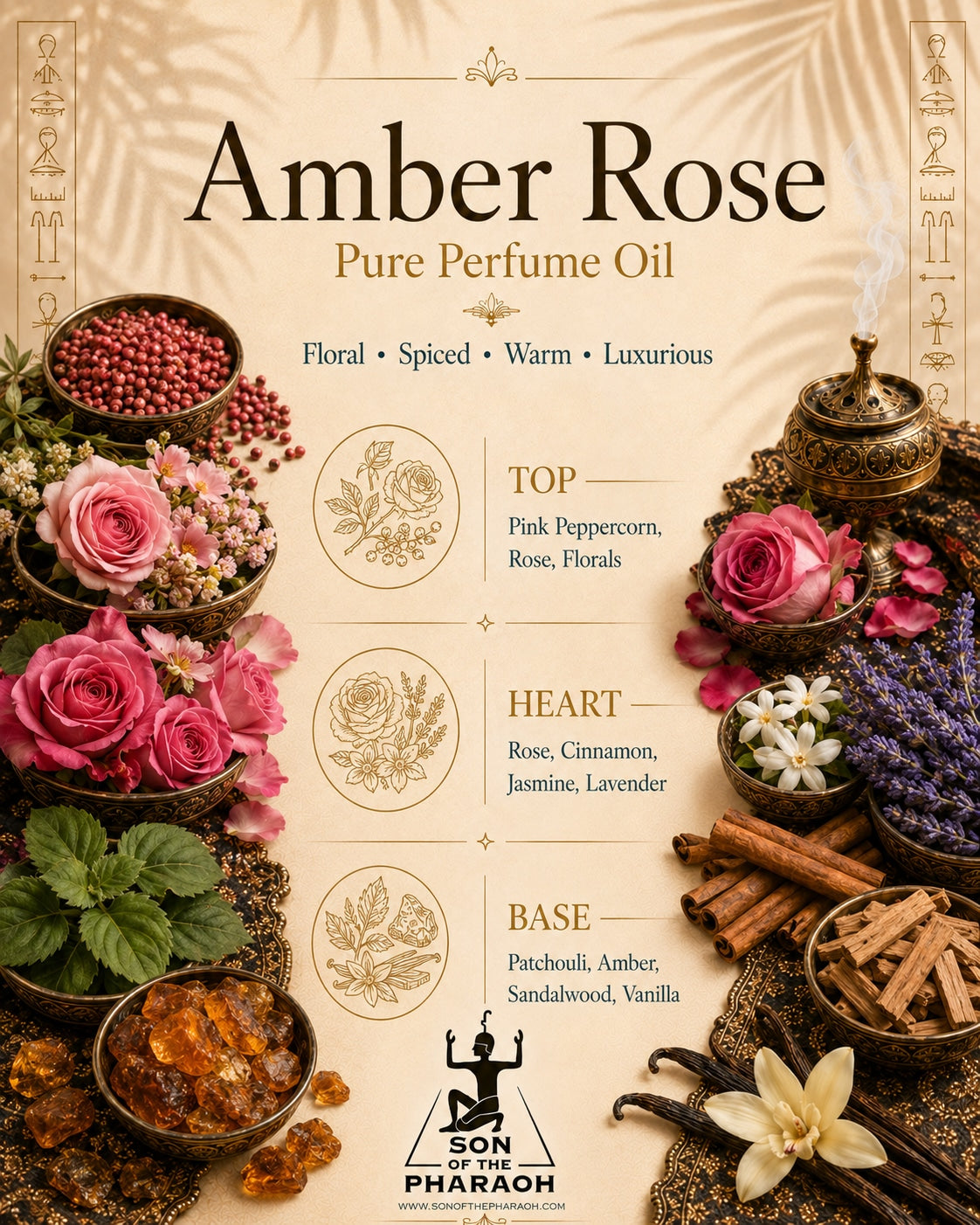 Amber Rose Perfume Oil — fragrance notes infographic