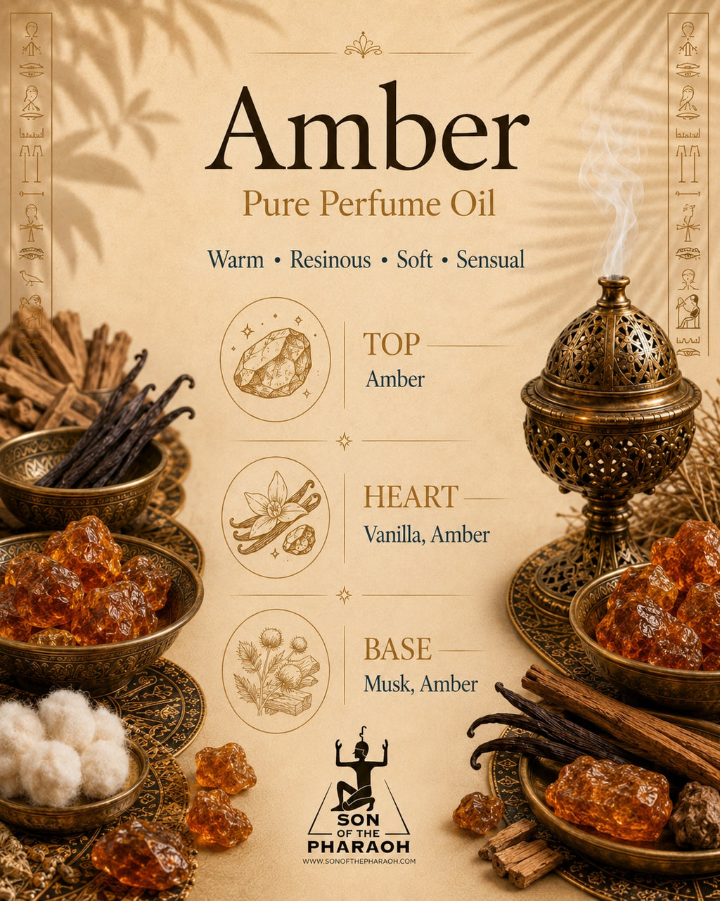 Amber Perfume Oil — fragrance notes infographic