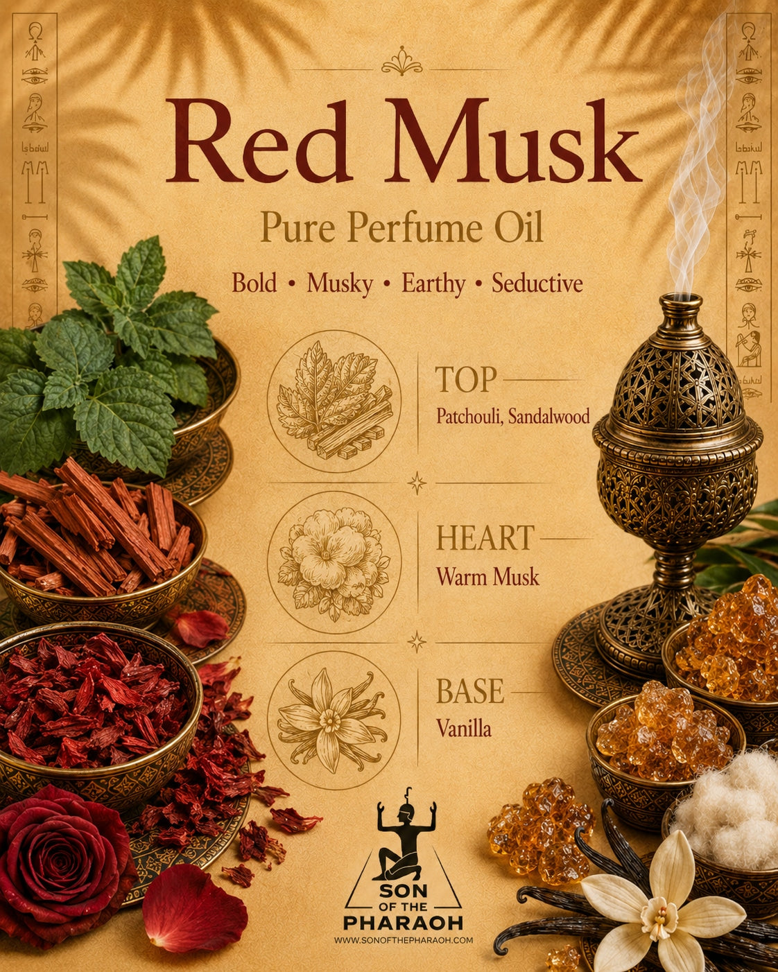 Red Musk Perfume Oil — fragrance notes infographic