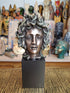 Medusa Bust on Plinth Statue - Cold Cast Bronze