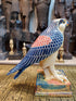 Horus Falcon Statue