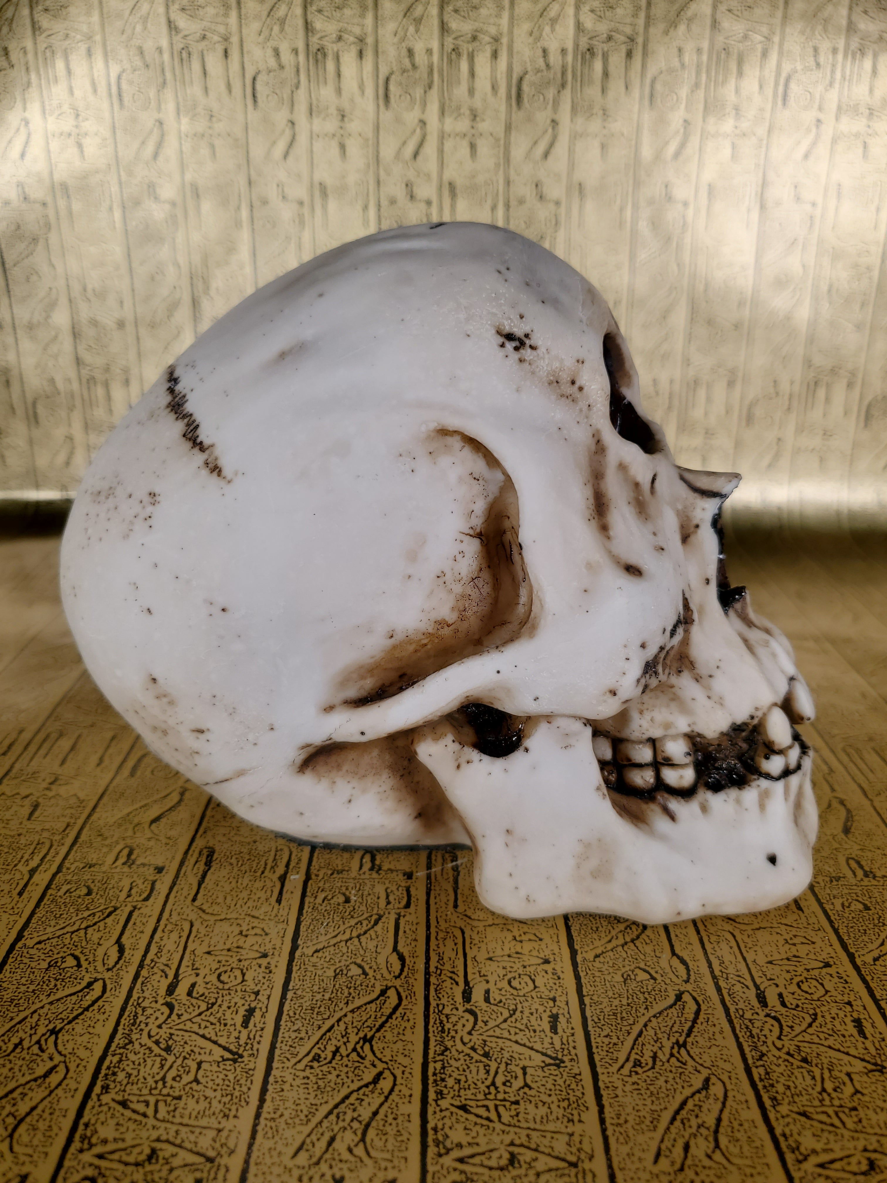 Cyclops Skull