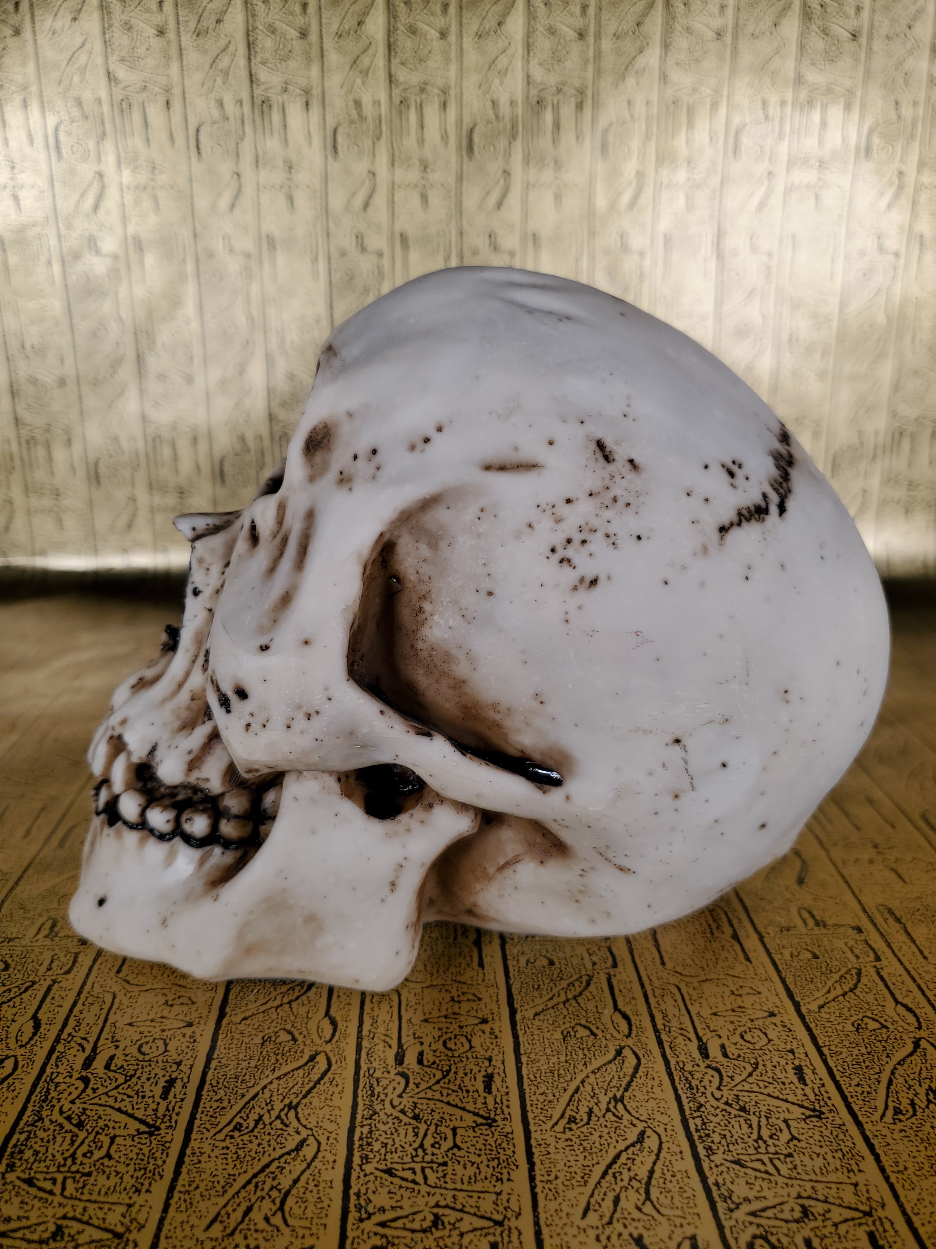 Cyclops Skull