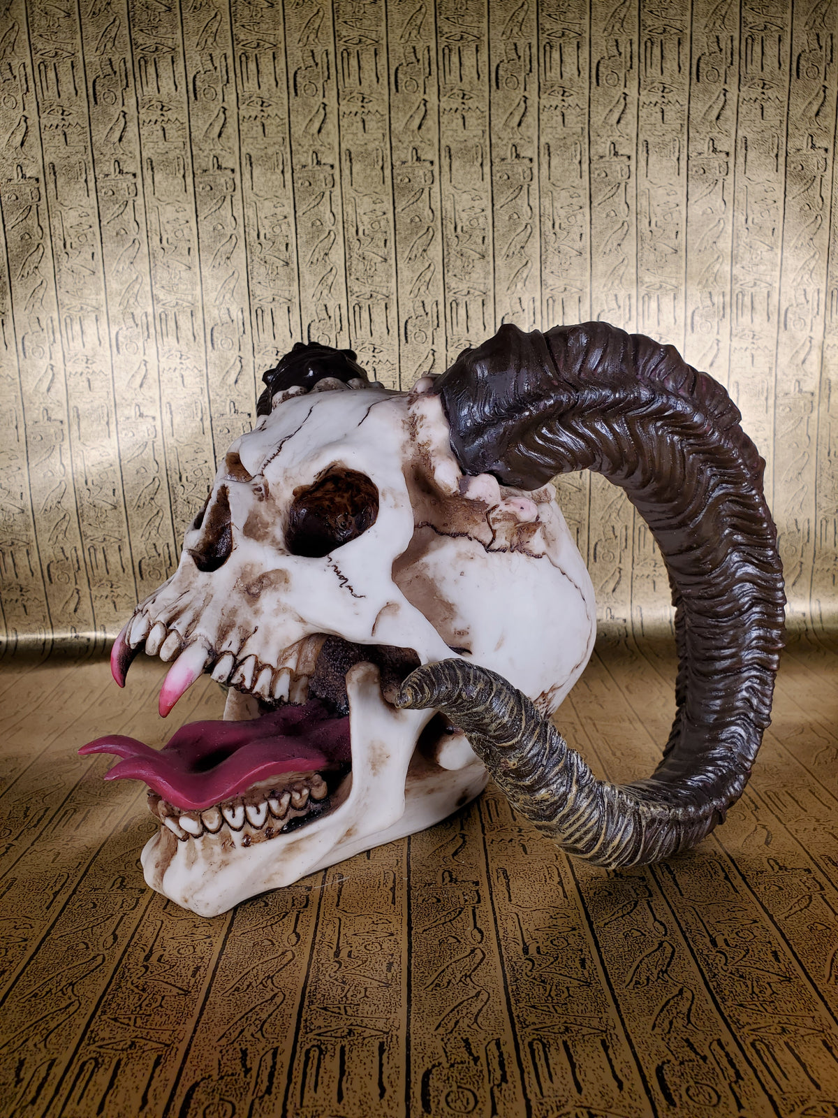 Ram Horned Skull