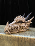 Dragon Skull