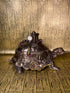 Steampunk Tortoise Trinket Box