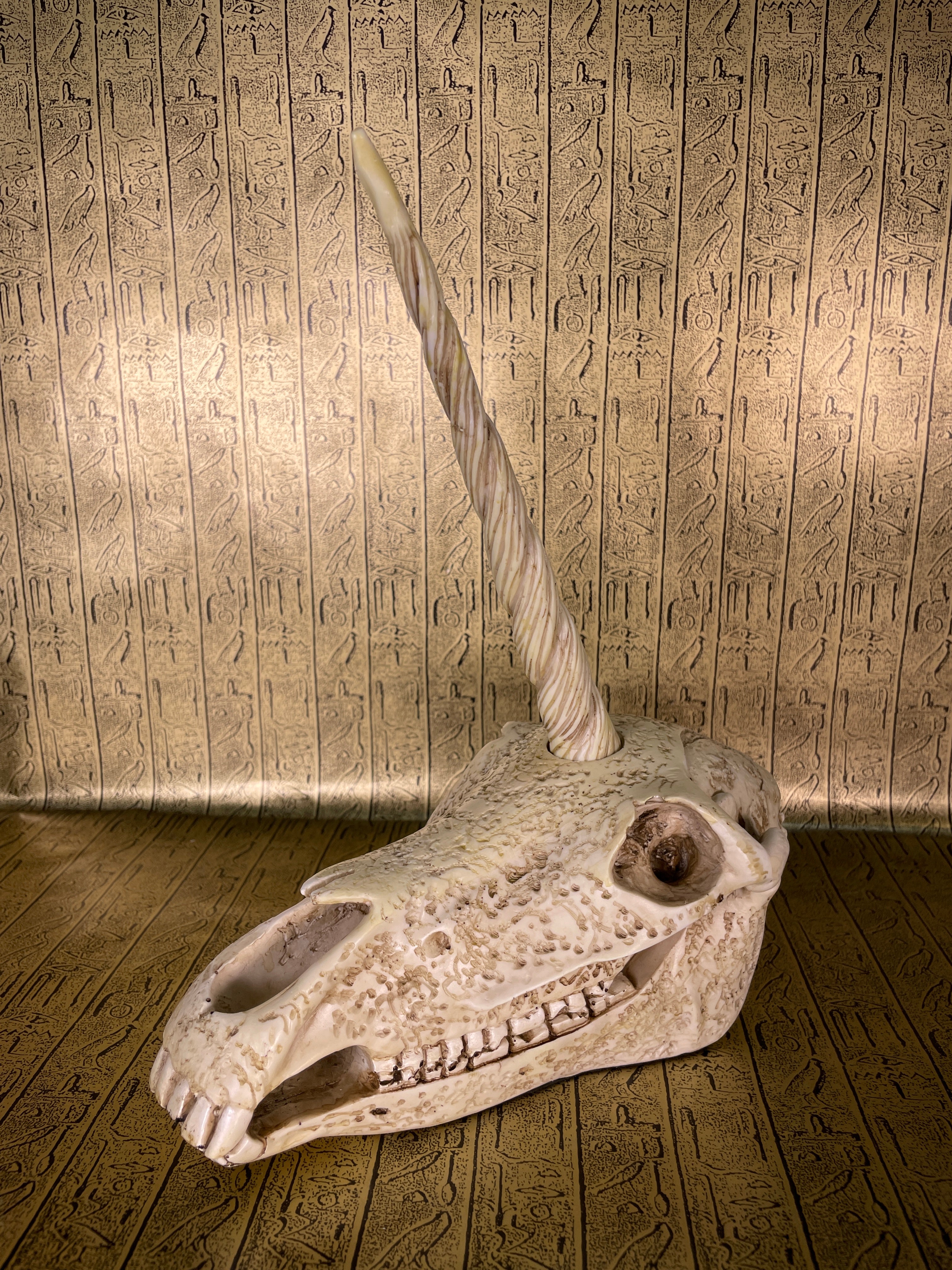 Unicorn Skull