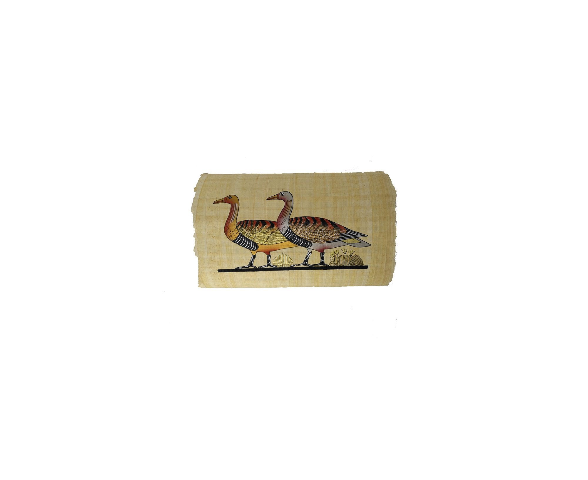 Egyptian Geese Grazing on the Nile Papyrus - 20x30cm